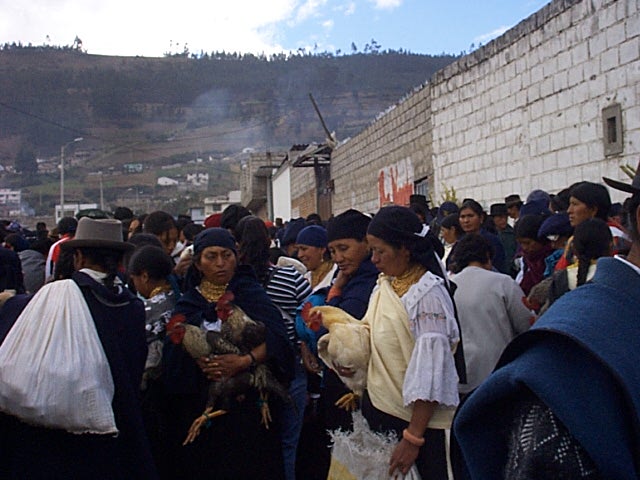 Huehnerverkauf in Otavallo.JPG - der otavalo markt ist wichtig für die ganze region